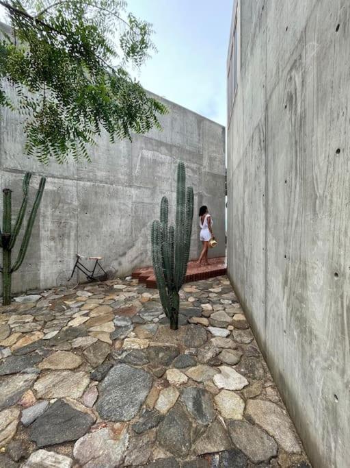 Casa Del Sapo Villa Yolina Buitenkant foto
